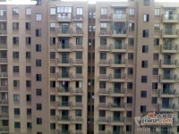 天元公寓實景圖圖片