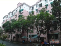 采荷小區潔蓮邨實景圖圖片