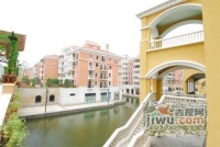 威尼斯水城实景图图片