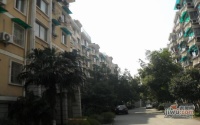 信鴻花園北區實景圖圖片