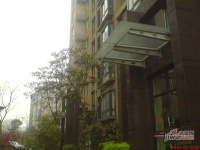 通和都市楓林實景圖圖片