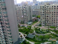 通和都市楓林實景圖圖片