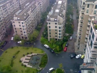通和都市楓林實景圖圖片