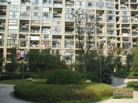 通和都市楓林實景圖圖片
