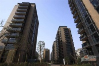 通和都市楓林實景圖圖片