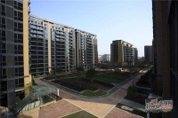 通和都市楓林實景圖圖片