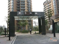 通和都市楓林實景圖圖片