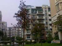 三里新城蘭苑實景圖53