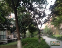三里新城蘭苑實景圖53