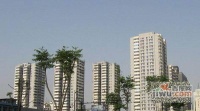 天苑花園實景圖圖片