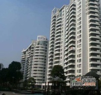 新白馬公寓實景圖圖片