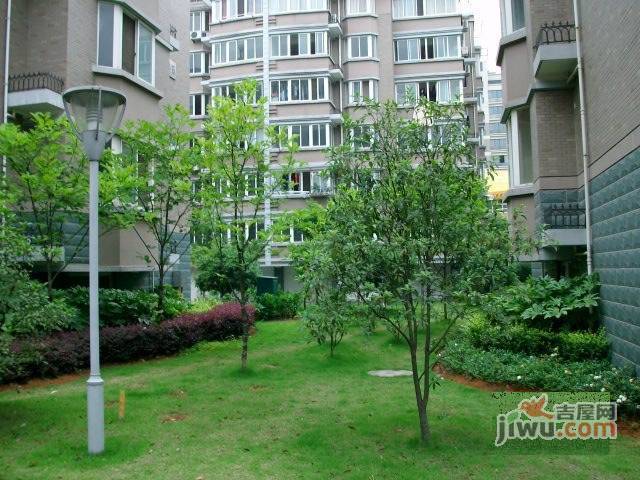 东鑫方汇花苑实景图图片