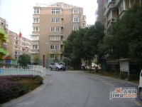 東鑫方匯花苑實景圖圖片