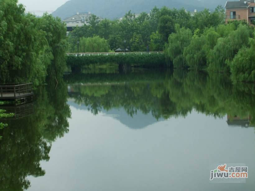 金都雅苑实景图图片