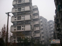 钱江时代公寓实景图图片