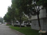 府新花園實景圖圖片