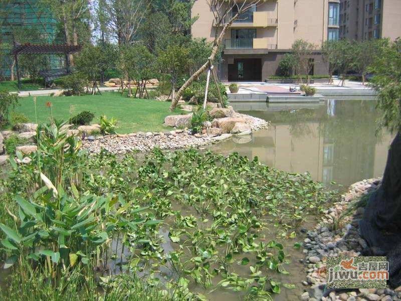 林风花园和风苑实景图图片