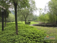 云河福邸山庄实景图图片