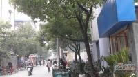 寶林小區實景圖圖片
