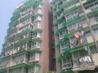 金庆公寓实景图图片