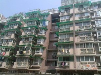 金庆公寓实景图图片