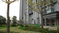 江南明城实景图图片