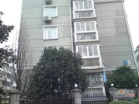 曙光公寓實景圖圖片