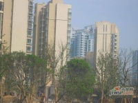 宋都新城國際實景圖圖片