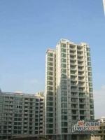 新安嘉苑實景圖圖片