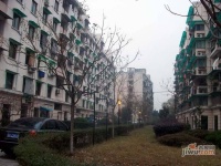 三塘北村实景图图片