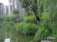 钱江湾花园实景图图片