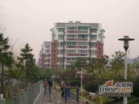 綠洲灣實景圖圖片