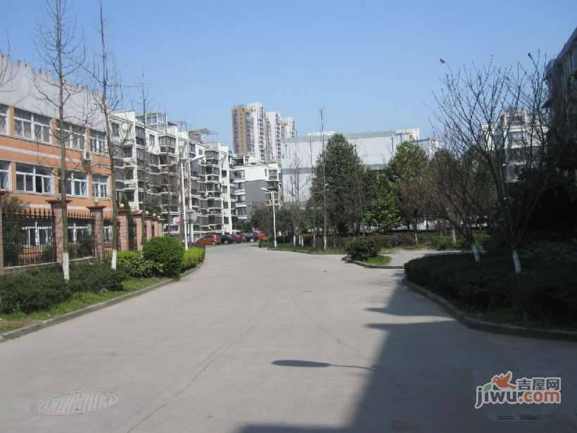 三江新村实景图图片