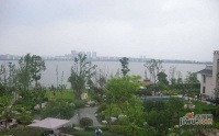 武汉长岛实景图图片