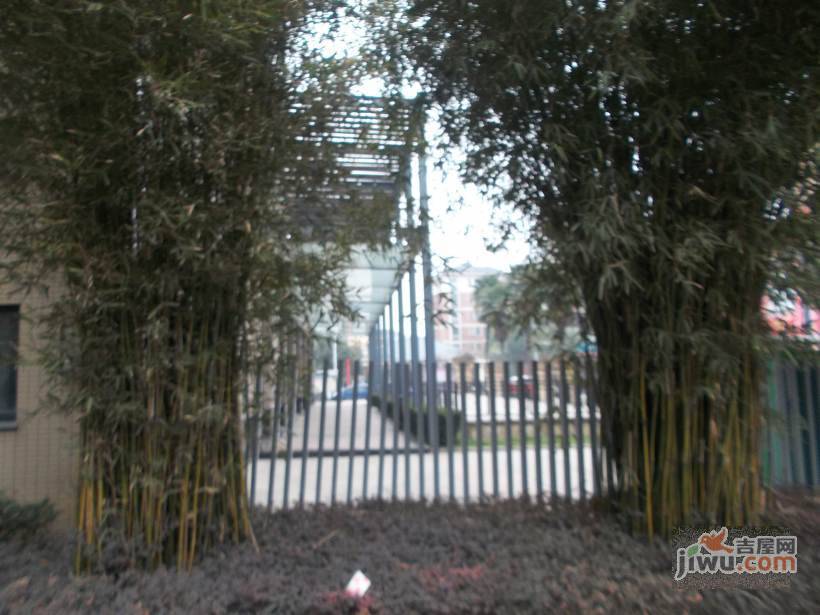 后湖东方明珠实景图图片