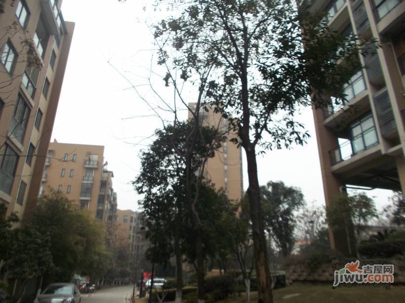 后湖东方明珠实景图图片
