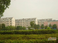 碧湖新村北区实景图图片