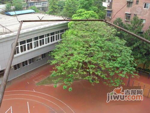长江日报路小区实景图图片