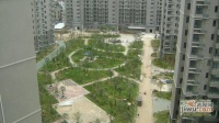 楚天都市花园实景图图片