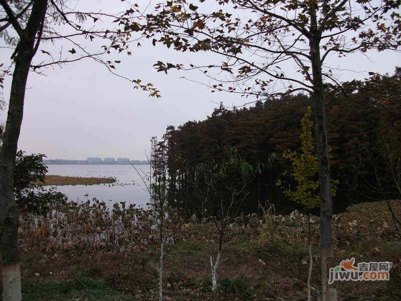 丽水花园实景图图片