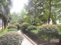 金利明珠花园实景图图片