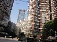 锦江国际城实景图图片