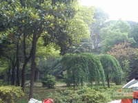 福隆花园实景图图片