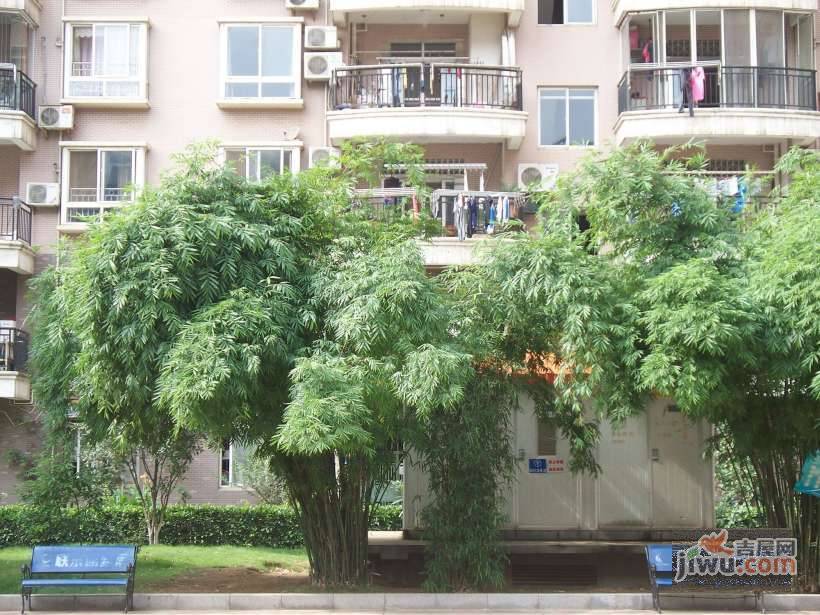 成功花园实景图图片