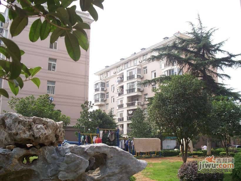 成功花园实景图图片