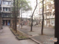 杨园街电力新村社区实景图图片