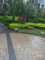 君临天下效果图