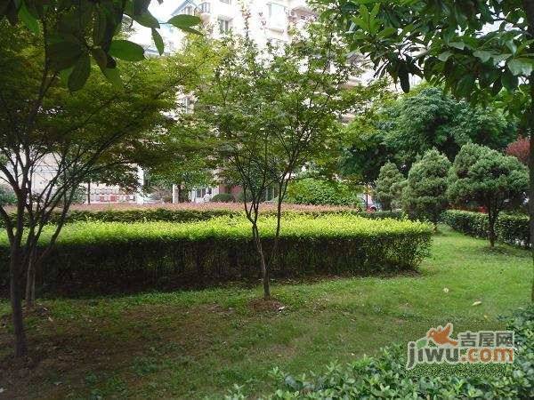 千禧名苑实景图图片