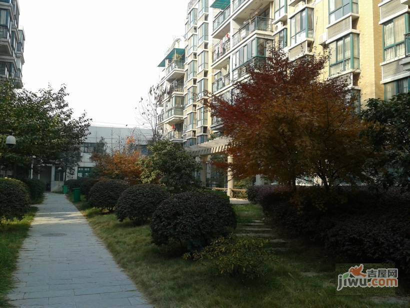 南湖沁康园实景图图片