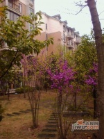 武庆紫松花园实景图图片